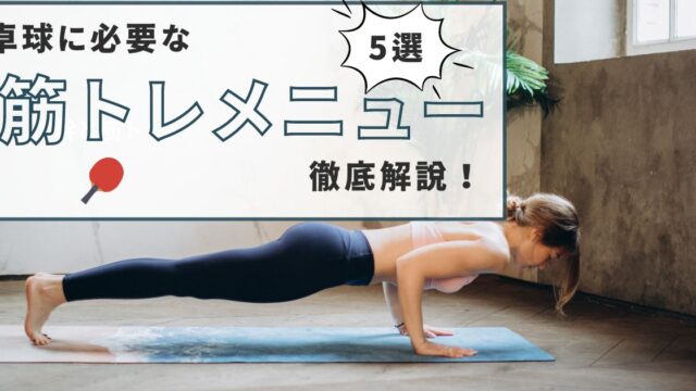 卓球に必要な筋肉とは？具体的な筋トレメニュー5つを紹介！